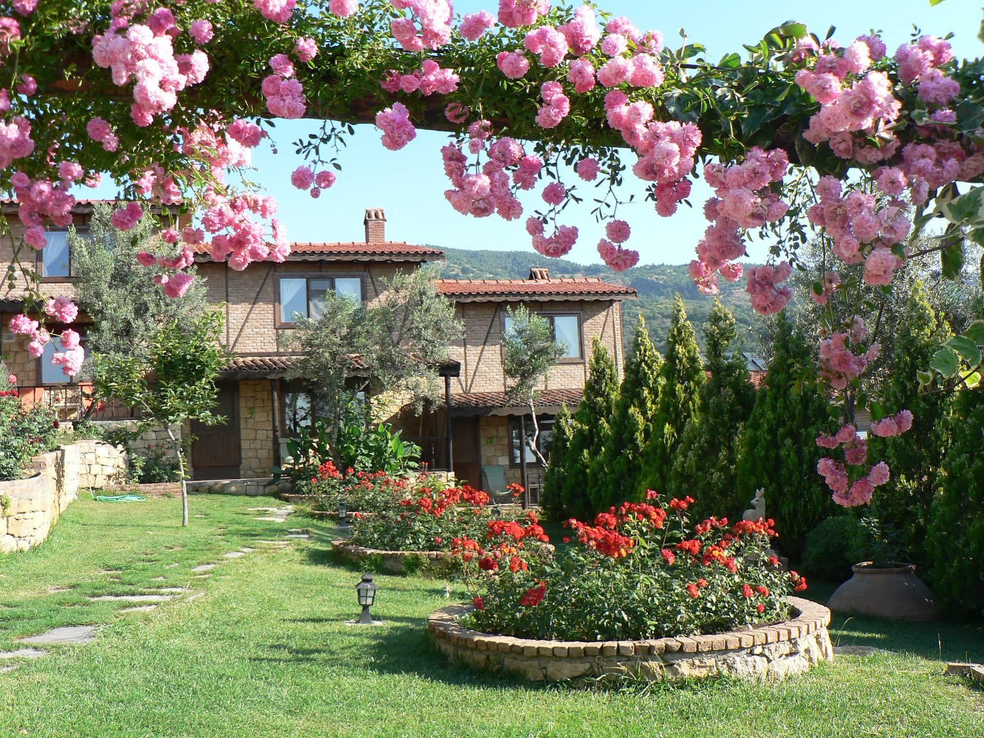 Pinecone Boutique Hotel Ayvacik Exterior foto
